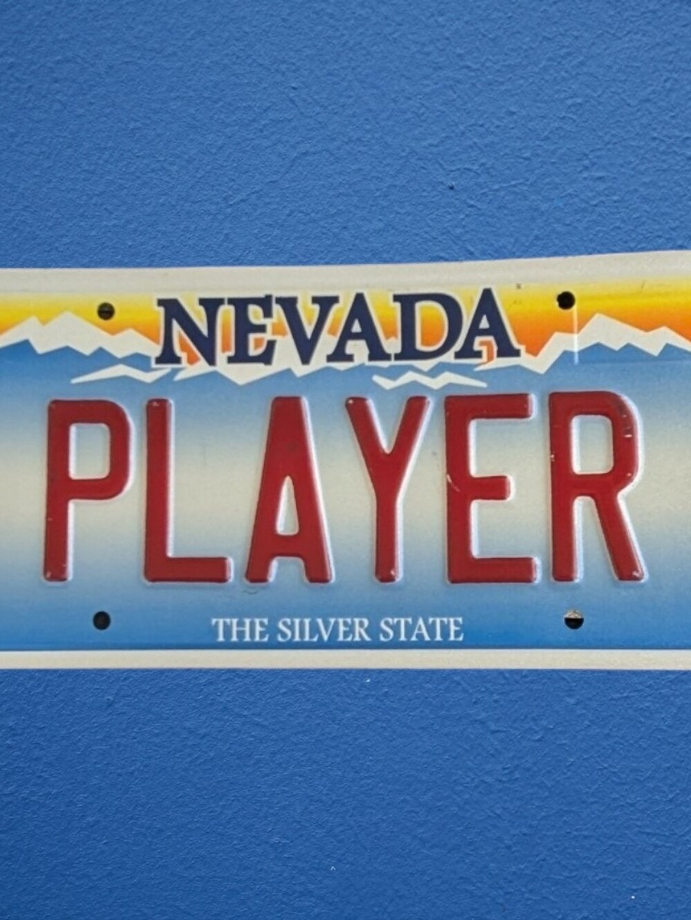 Nevada "Player" The Silver State License Plate Wall Decor